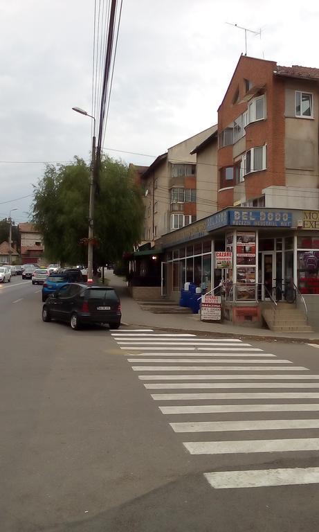 Apartamento Garsoniera Del Dodo Alba Iulia Exterior foto
